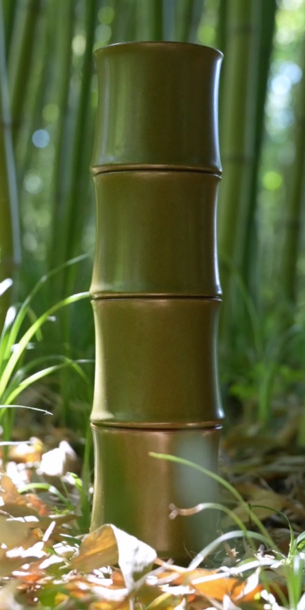 A Saragaia olive green ceramic cup designed in the shape of a bamboo stalk, resting among fallen leaves on the mossy forest floor in a green bamboo grove.