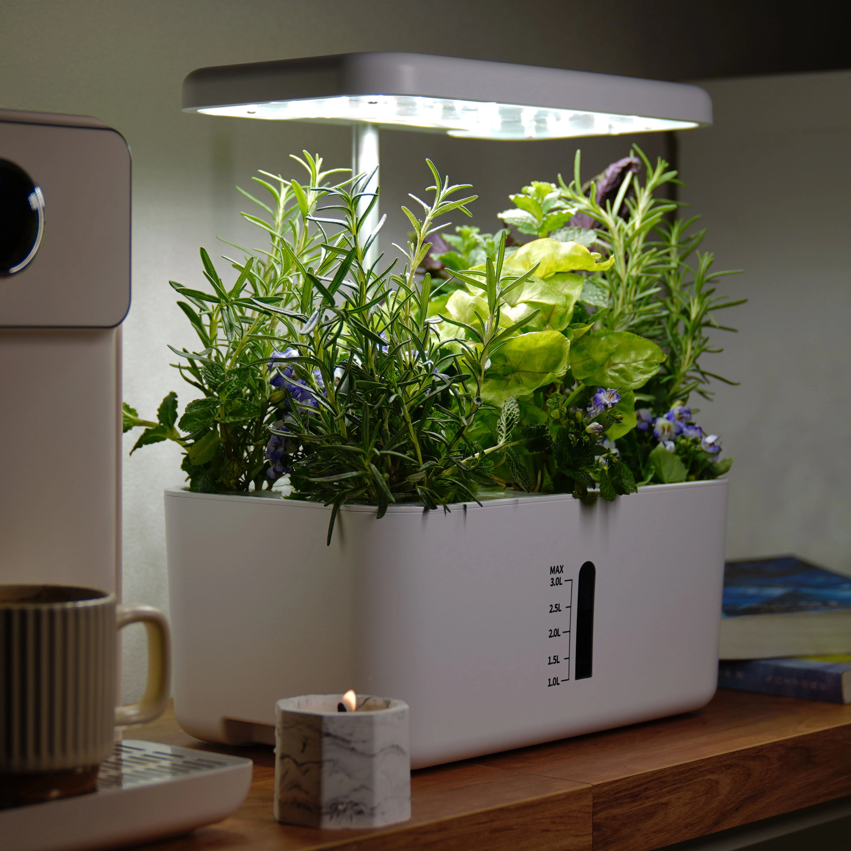 Indoor Garden