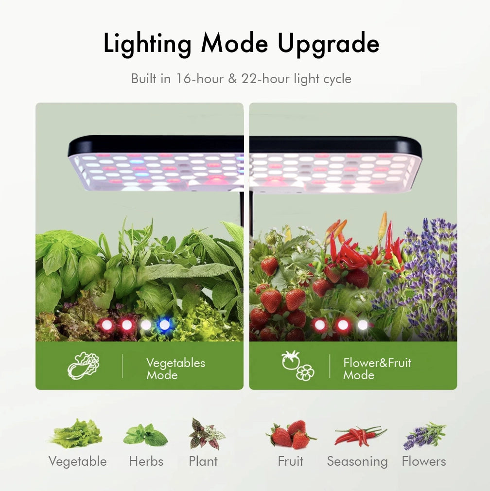 Zero-Waste Indoor Ecosystem – Grow Organic Greens in 2 Weeks. No Soil, No Mess