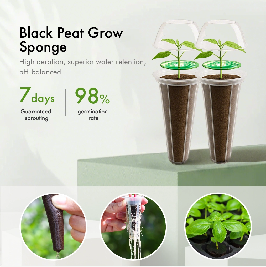 Zero-Waste Indoor Ecosystem – Grow Organic Greens in 2 Weeks. No Soil, No Mess