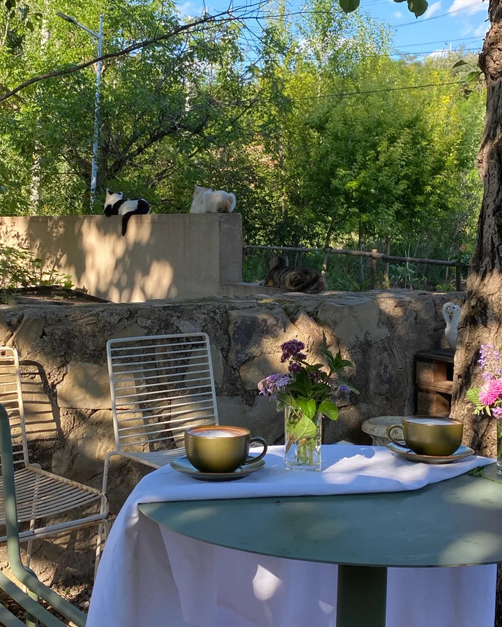 From quiet mornings at home to open-air gatherings outdoors.