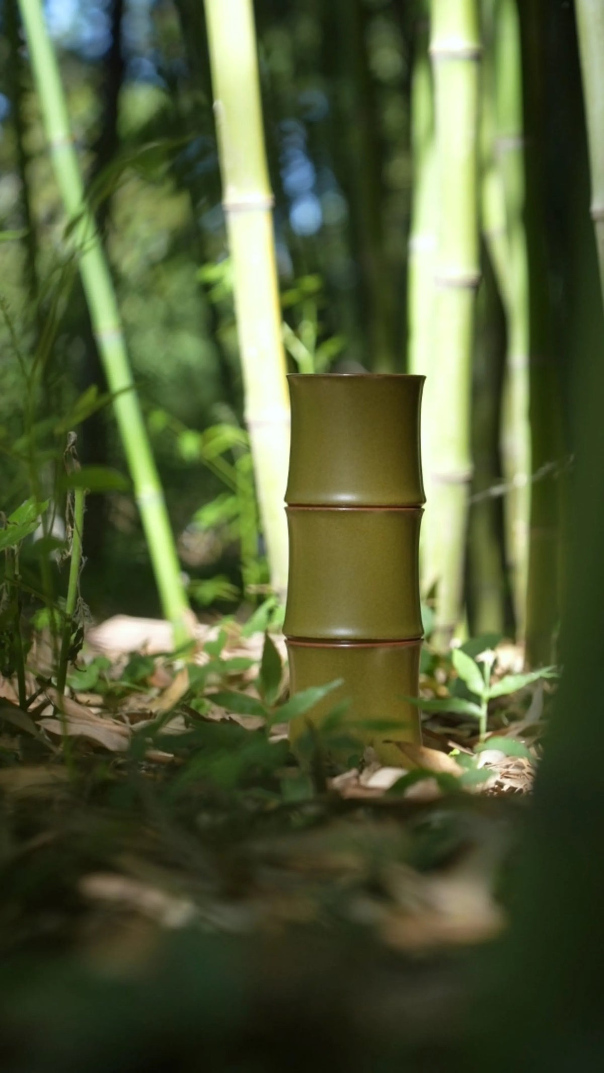 A Saragaia tea-dust glazed ceramic cup shaped like a bamboo node, standing on mossy ground in a dense bamboo forest.