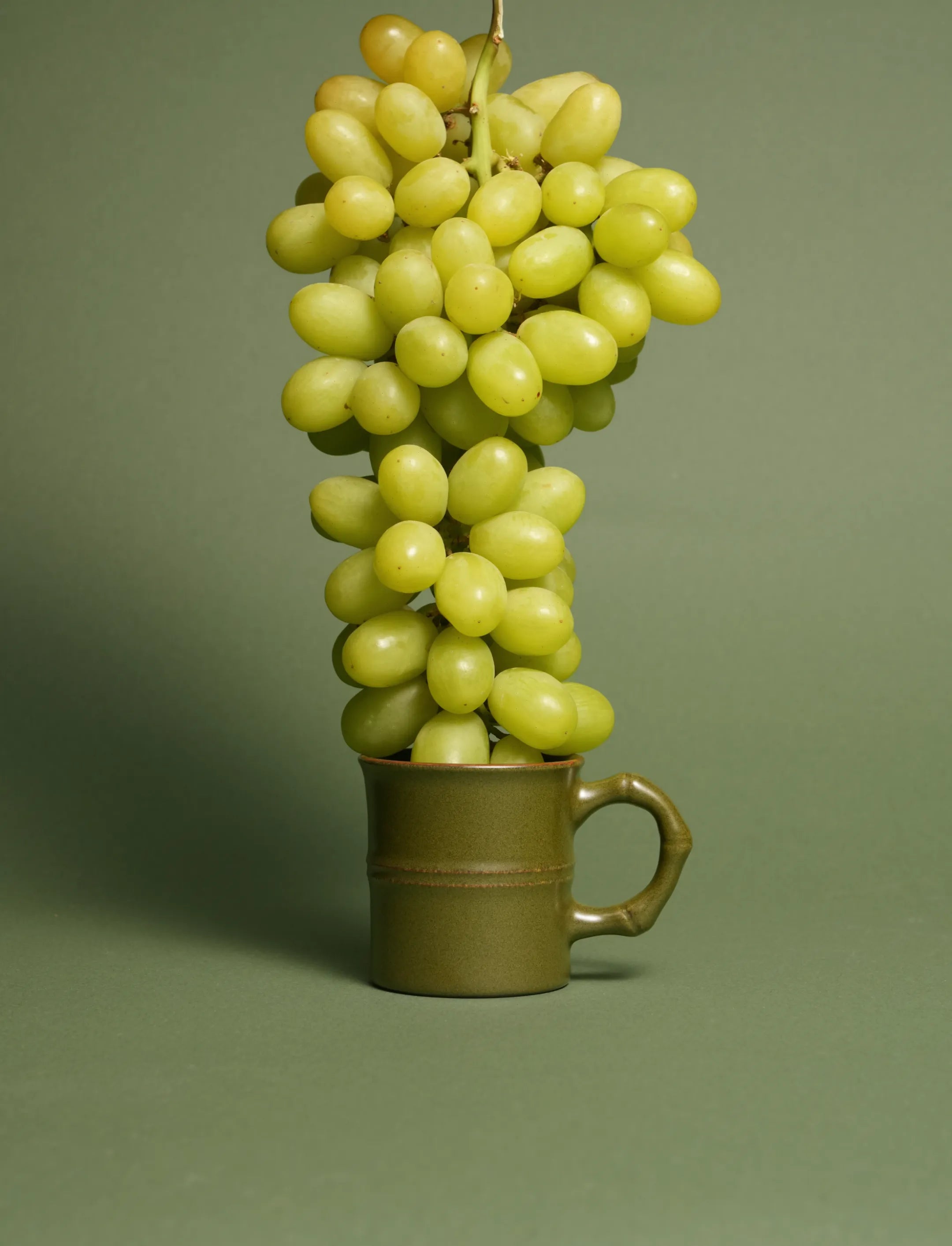 Bamboo Branch Porcelain Mug
