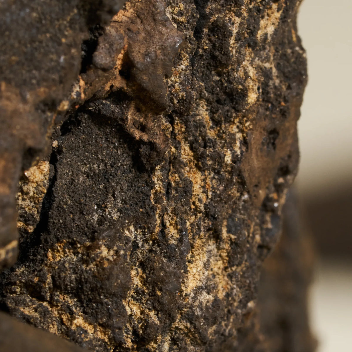 Born from volcanic earth