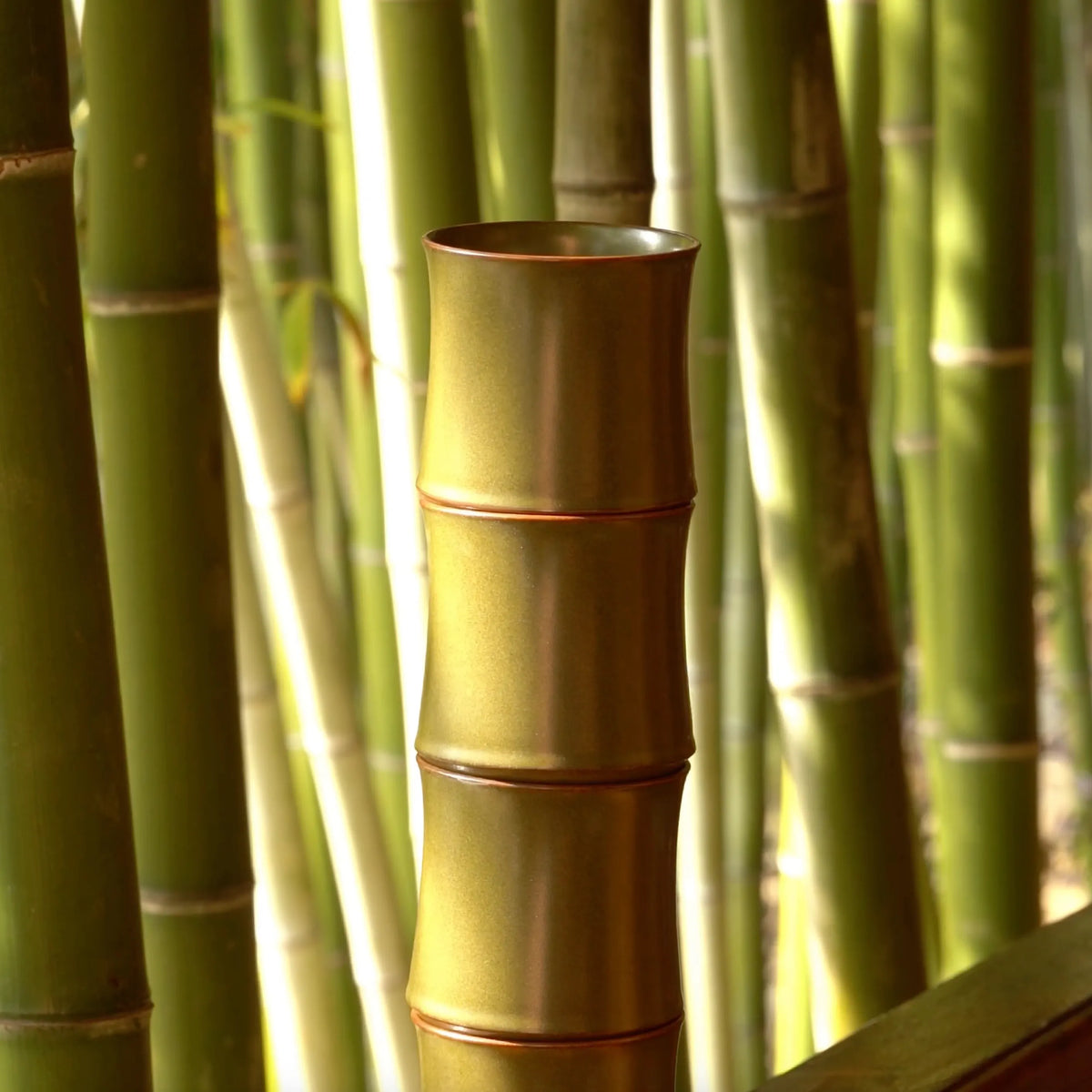 A Saragaia olive green ceramic cup designed like a bamboo stalk, standing in front of a natural green bamboo forest.