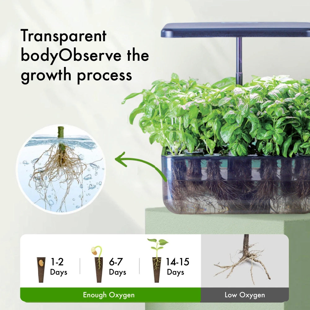 Zero-Waste Indoor Ecosystem – Grow Organic Greens in 2 Weeks. No Soil, No Mess