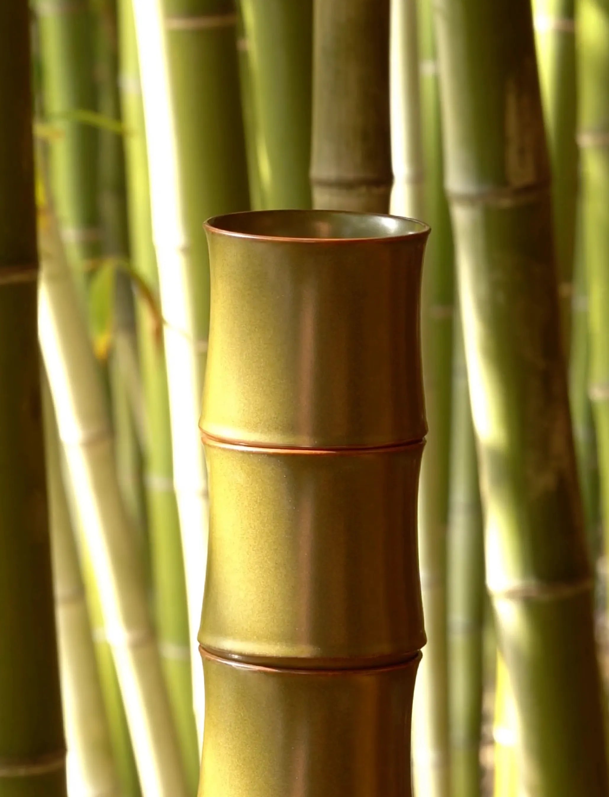 SaraGaia Tea-Dust Glaze porcelain cup set against a lush bamboo forest, symbolizing the harmony between nature and traditional Jingdezhen craftsmanship. The unique bamboo-joint shape and matte mineral finish reflect authentic artisan design.